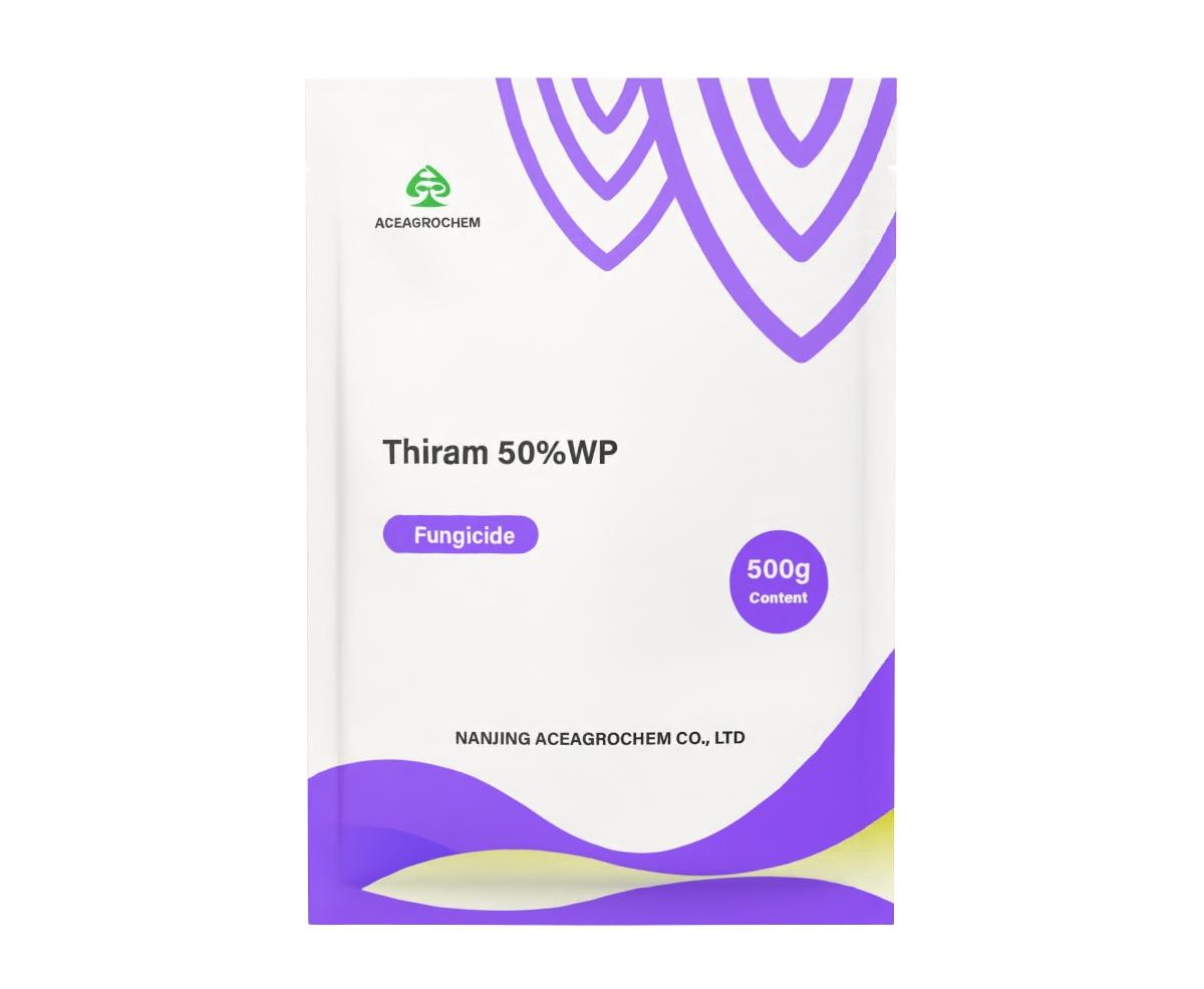 Thiram 50% WP